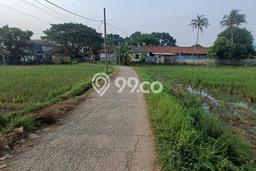 Lahan Dijual Lokasi Cariu, Bogor dengan Luas Tanah 12000m2 dan Status SHM Lahan Dijual Lokasi Cariu, Bogor dengan Luas Tanah 12000m2 dan Status SHM