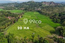 Kavling Tanah di Cilaku Dijual Luas 200000m2 Legalitas SHM Kavling Tanah di Cilaku Dijual Luas 200000m2 Legalitas SHM