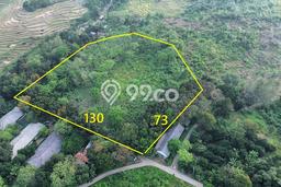 Lahan Dijual Lokasi Tanjungsari, Bogor dengan Luas Tanah 20000m2 dan Status SHM Lahan Dijual Lokasi Tanjungsari, Bogor dengan Luas Tanah 20000m2 dan Status SHM