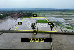 Tanah Dijual Lokasi Sukaluyu, Cianjur Luas 4771m2 Legalitas Aman Tanah Dijual Lokasi Sukaluyu, Cianjur Luas 4771m2 Legalitas Aman
