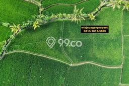 Tanah Kavling untuk Dijual di Sukaluyu Cianjur 1719m2 Tanah Kavling untuk Dijual di Sukaluyu Cianjur 1719m2