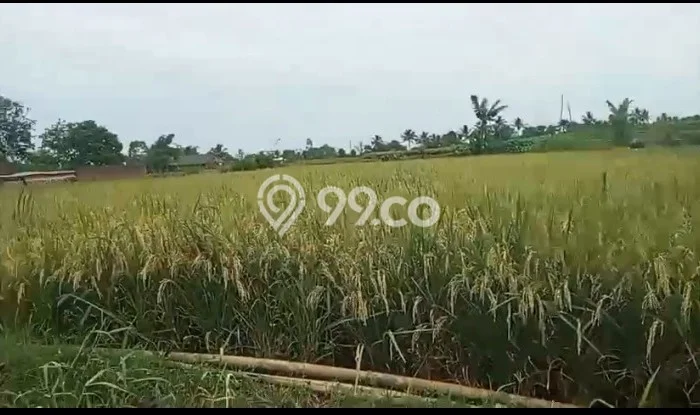 Lahan untuk Dijual di Kebonpedes Sukabumi Luas 3388m2 Lahan untuk Dijual di Kebonpedes Sukabumi Luas 3388m2