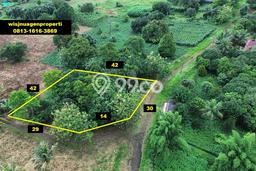Tanah Strategis Dijual di Tajur Halang Bogor 1663m2 Tanah Strategis Dijual di Tajur Halang Bogor 1663m2