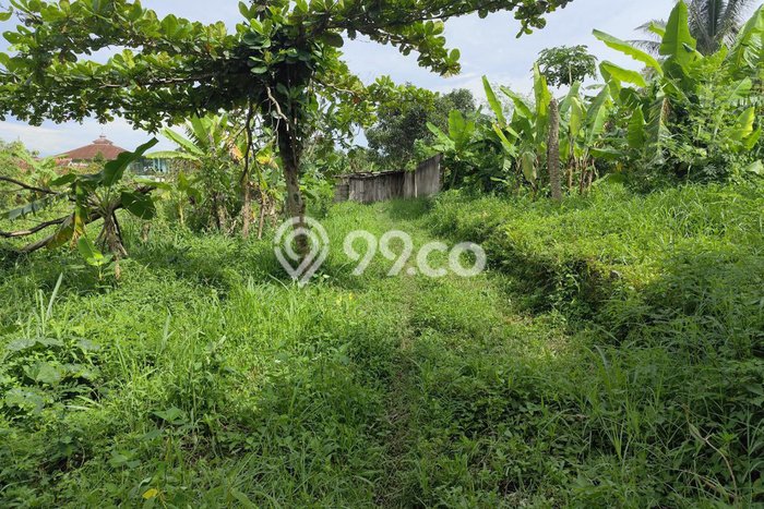 Lahan untuk Dijual Lokasi Mande, Cianjur Luas 2392m2 SHM Lahan untuk Dijual Lokasi Mande, Cianjur Luas 2392m2 SHM