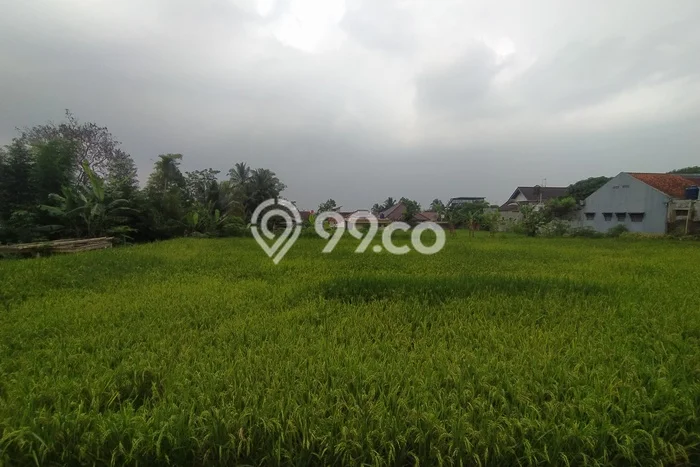 Jarang Ada! Tanah di Cugenang Punya Luas 1768m2 SHM Jarang Ada! Tanah di Cugenang Punya Luas 1768m2 SHM