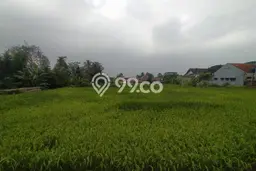 Jarang Ada! Tanah di Cugenang Punya Luas 1768m2 SHM Jarang Ada! Tanah di Cugenang Punya Luas 1768m2 SHM