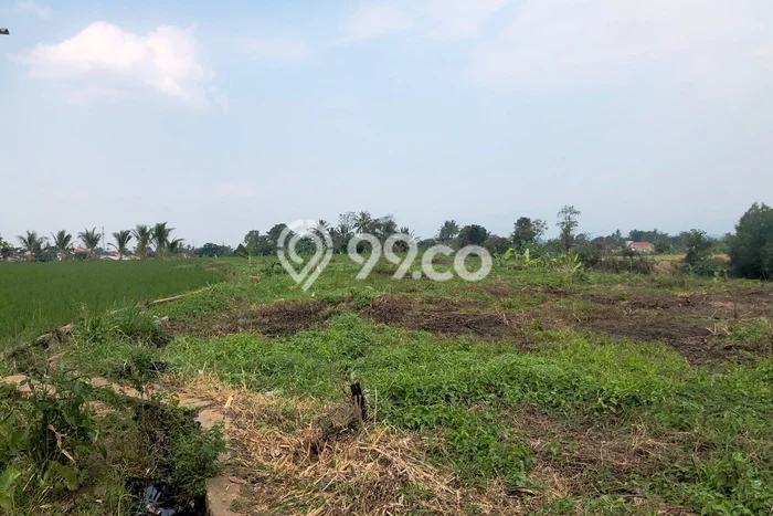 Kavling Tanah untuk Dijual di Cianjur Kota, Cianjur, Luas 7205m2 Kavling Tanah untuk Dijual di Cianjur Kota, Cianjur, Luas 7205m2