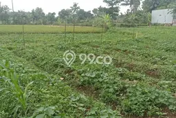 Tanah Kavling untuk Dijual di Karangtengah Cianjur 1645m2 Tanah Kavling untuk Dijual di Karangtengah Cianjur 1645m2