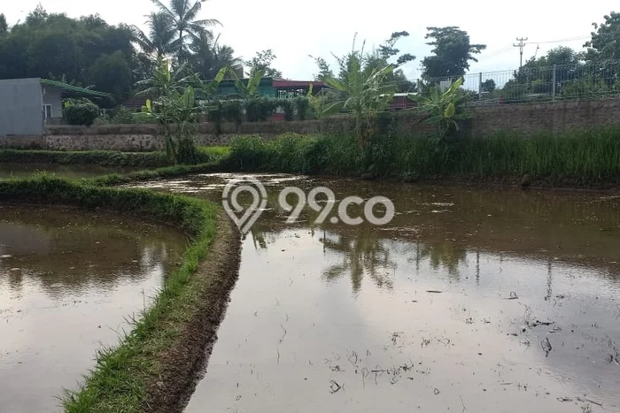 Tanah Kavling untuk Dijual di Karangtengah Cianjur 1645m2 Tanah Kavling untuk Dijual di Karangtengah Cianjur 1645m2