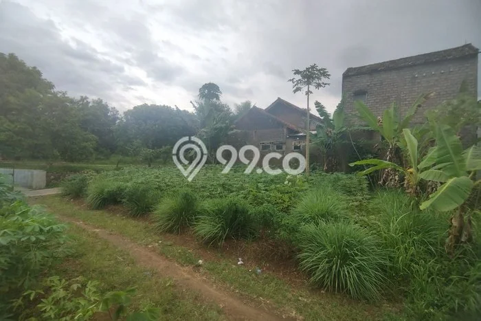 Tanah untuk Dijual Lokasi Karangtengah, Cianjur Luas 161m2 SHM Tanah untuk Dijual Lokasi Karangtengah, Cianjur Luas 161m2 SHM