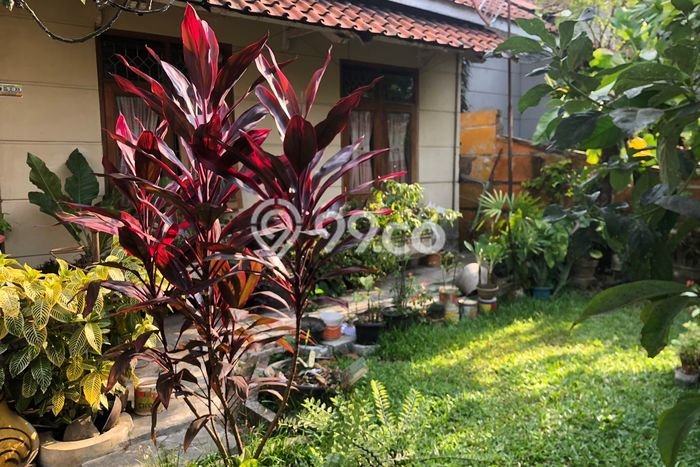 Rumah Premium LT 300m2m² / LB 172m2m² di Kawasan Asri Karangtengah, Cianjur Rumah Premium LT 300m2m² / LB 172m2m² di Kawasan Asri Karangtengah, Cianjur