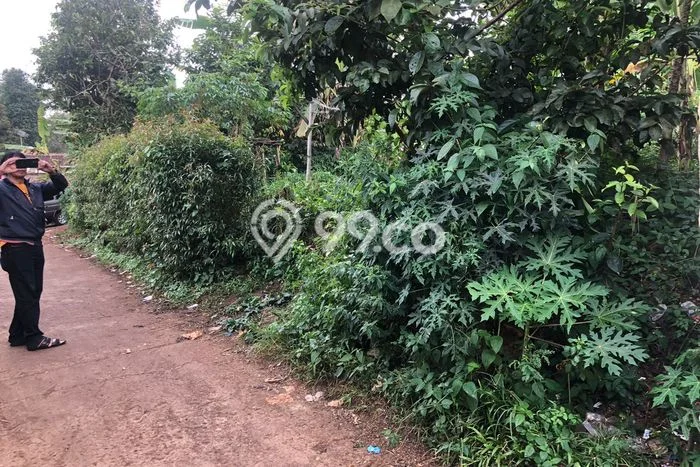 For Sale Tanah Kawasan Cilaku, Luas 3580m2m², Dekat Cilaku, Cianjur, Cianjur For Sale Tanah Kawasan Cilaku, Luas 3580m2m², Dekat Cilaku, Cianjur, Cianjur