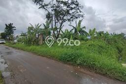 Tanah Dijual Lokasi Cianjur, Cianjur dengan Luas Tanah 6385m2 dan Status SHM Tanah Dijual Lokasi Cianjur, Cianjur dengan Luas Tanah 6385m2 dan Status SHM
