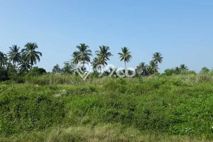 Lahan Dijual Lokasi Cianjur, Cianjur dengan Luas Tanah 17220m2 dan Status SHM Lahan Dijual Lokasi Cianjur, Cianjur dengan Luas Tanah 17220m2 dan Status SHM