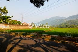 Jarang Ada! Tanah di Cianjur Punya Luas 3400m2 SHM Jarang Ada! Tanah di Cianjur Punya Luas 3400m2 SHM