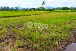 Lahan Kosong Dijual di Cianjur, Cianjur, Luas 3810m2 Area Strategis Lahan Kosong Dijual di Cianjur, Cianjur, Luas 3810m2 Area Strategis
