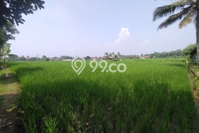 Dijual Tanah Lokasi Cianjur Kota, Cianjur Seluas 25000m2 Dijual Tanah Lokasi Cianjur Kota, Cianjur Seluas 25000m2