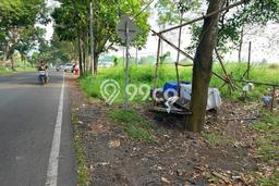 Lahan Kosong Dijual di Karangtengah, Cianjur, Luas 53000m2 Area Strategis Lahan Kosong Dijual di Karangtengah, Cianjur, Luas 53000m2 Area Strategis