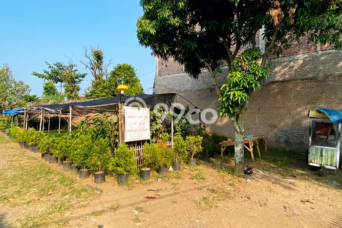 Tanah Investasi Dijual di Cianjur Punya Luas 748m2 Tanah Investasi Dijual di Cianjur Punya Luas 748m2