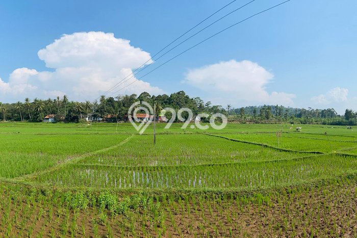Lahan Kosong Dijual di Cilaku, Cianjur, Luas 195000m2 Area Strategis Lahan Kosong Dijual di Cilaku, Cianjur, Luas 195000m2 Area Strategis