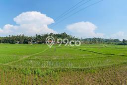 Lahan Kosong Dijual di Cilaku, Cianjur, Luas 195000m2 Area Strategis Lahan Kosong Dijual di Cilaku, Cianjur, Luas 195000m2 Area Strategis