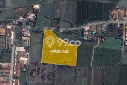 Tanah Dijual Lokasi Cianjur, Cianjur Luas 4700m2 Legalitas Aman Tanah Dijual Lokasi Cianjur, Cianjur Luas 4700m2 Legalitas Aman