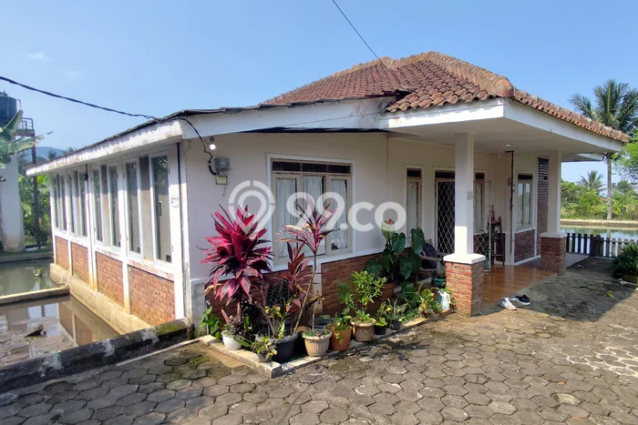 Rumah Luas Asri 2 KT Siap Pakai di Cianjur Kota Cianjur Rumah Luas Asri 2 KT Siap Pakai di Cianjur Kota Cianjur