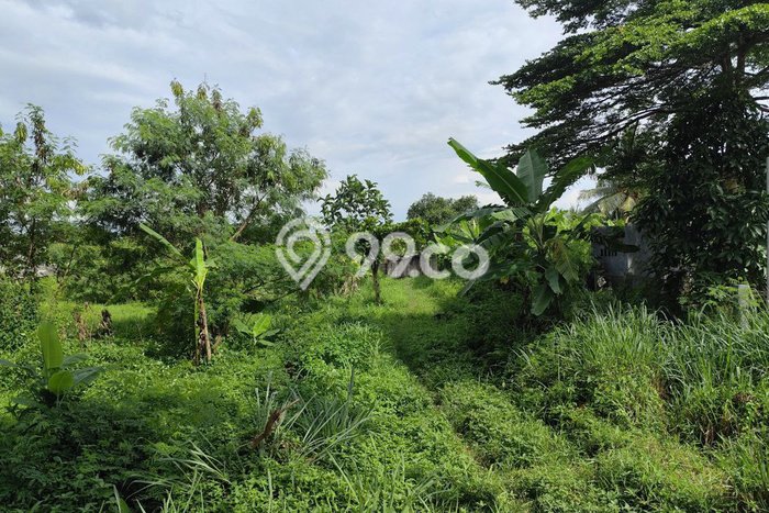 Lahan untuk Dijual Lokasi Mande, Cianjur Luas 2392m2 SHM Lahan untuk Dijual Lokasi Mande, Cianjur Luas 2392m2 SHM