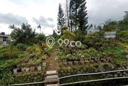 Tanah di Cipanas, Cianjur Luas 1000m2 Dijual Segera Tanah di Cipanas, Cianjur Luas 1000m2 Dijual Segera