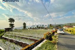 Kavling Tanah Dijual di Karanganyar, Solo, Luas 1908m2 Area Strategis Kavling Tanah Dijual di Karanganyar, Solo, Luas 1908m2 Area Strategis