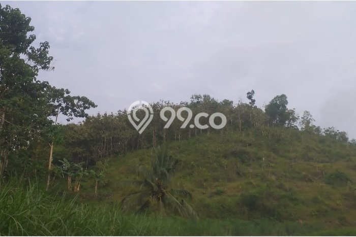 Tanah Dijual Lokasi Pracimantoro Wonogiri SHM Tanah Dijual Lokasi Pracimantoro Wonogiri SHM
