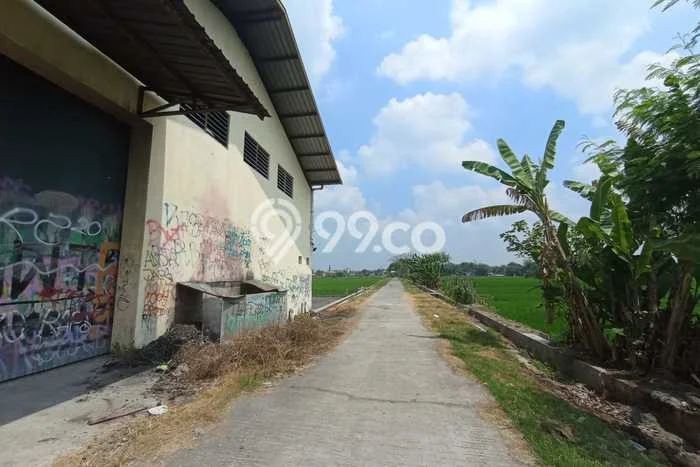 Tersedia Gudang Bisnis di Juwiring Klaten Harga Sewa Menarik Bisa Nego Tersedia Gudang Bisnis di Juwiring Klaten Harga Sewa Menarik Bisa Nego