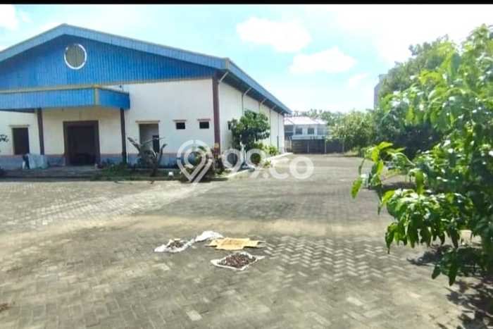 Lokasi Strategis! Dijual Gudang Bisnis di Ngemplak, Boyolali Kondisi Baik Lokasi Strategis! Dijual Gudang Bisnis di Ngemplak, Boyolali Kondisi Baik