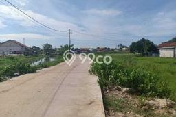 Tanah Kavling Dijual di Teluk Naga, Tangerang dengan Luas Tanah 7000m2 Tanah Kavling Dijual di Teluk Naga, Tangerang dengan Luas Tanah 7000m2