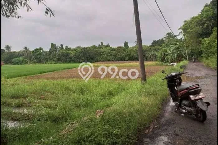 Lahan Dijual Lokasi Tigaraksa, Tangerang dengan Luas Tanah 12500m2 dan Status SHM Lahan Dijual Lokasi Tigaraksa, Tangerang dengan Luas Tanah 12500m2 dan Status SHM