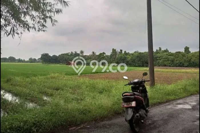 Lahan Dijual Lokasi Tigaraksa, Tangerang dengan Luas Tanah 12500m2 dan Status SHM Lahan Dijual Lokasi Tigaraksa, Tangerang dengan Luas Tanah 12500m2 dan Status SHM