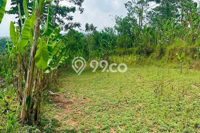Lahan Investasi Lokasi Payangan Gianyar SHM Lahan Investasi Lokasi Payangan Gianyar SHM