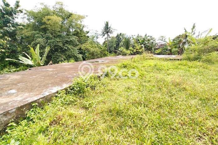 Tanah untuk Dijual di Kembaran Banyumas Luas 425m2 Tanah untuk Dijual di Kembaran Banyumas Luas 425m2