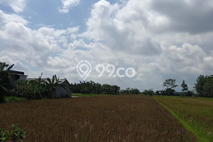 Tanah Dijual Lokasi Sokaraja, Banyumas dengan Luas Tanah 4343m2 dan Status SHM Tanah Dijual Lokasi Sokaraja, Banyumas dengan Luas Tanah 4343m2 dan Status SHM