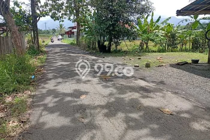 Tanah Dijual Lokasi Kertanegara, Purbalingga Luas 224m2 Legalitas Aman Tanah Dijual Lokasi Kertanegara, Purbalingga Luas 224m2 Legalitas Aman