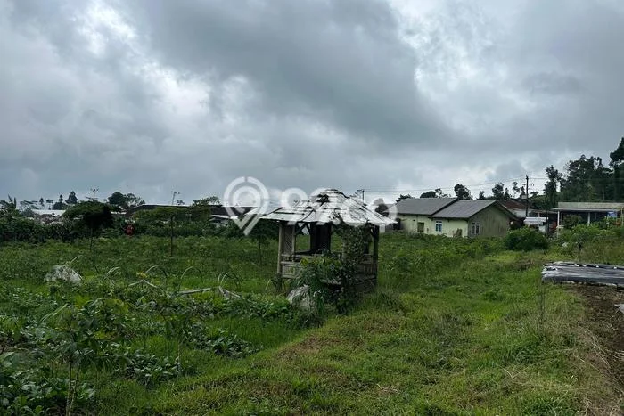 Tanah Dijual Lokasi Karangreja, Purbalingga dengan Luas Tanah 311m2 dan Status SHM Tanah Dijual Lokasi Karangreja, Purbalingga dengan Luas Tanah 311m2 dan Status SHM