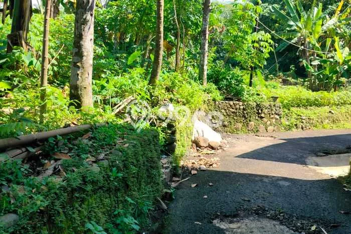 Kavling Tanah Dijual di Purwokerto Utara Banyumas Spesifikasi 567m2 Kavling Tanah Dijual di Purwokerto Utara Banyumas Spesifikasi 567m2