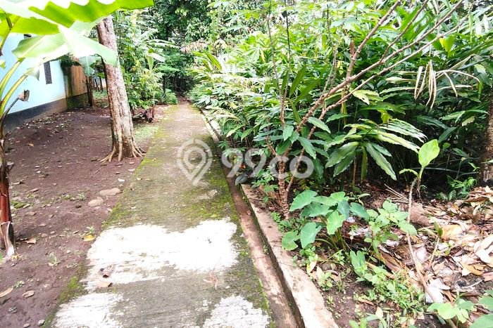 Dijual Tanah di Karanganyar Purbalingga Luas 825m2 - Dijual Tanah di Karanganyar Purbalingga Luas 825m2 -