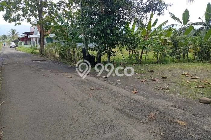 Tanah Dijual Lokasi Kertanegara, Purbalingga Luas 224m2 Legalitas Aman Tanah Dijual Lokasi Kertanegara, Purbalingga Luas 224m2 Legalitas Aman