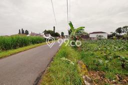 Tanah Dijual Lokasi Padamara, Purbalingga Luas 2517m2 Legalitas Aman Tanah Dijual Lokasi Padamara, Purbalingga Luas 2517m2 Legalitas Aman