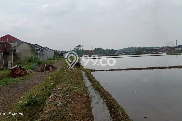 Untuk Dijual Tanah di Karanglewas Banyumas Luas 90m2 SHM Untuk Dijual Tanah di Karanglewas Banyumas Luas 90m2 SHM