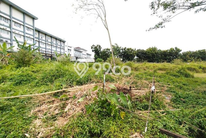 Tanah Kosong Dijual di Banyumas dengan Area 1194m2 Tanah Kosong Dijual di Banyumas dengan Area 1194m2