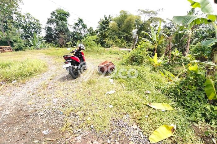 Tanah untuk Dijual di Kembaran Banyumas Luas 425m2 Tanah untuk Dijual di Kembaran Banyumas Luas 425m2