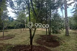 Tanah Kavling untuk Dijual di Sumbang Banyumas 2996m2 Tanah Kavling untuk Dijual di Sumbang Banyumas 2996m2