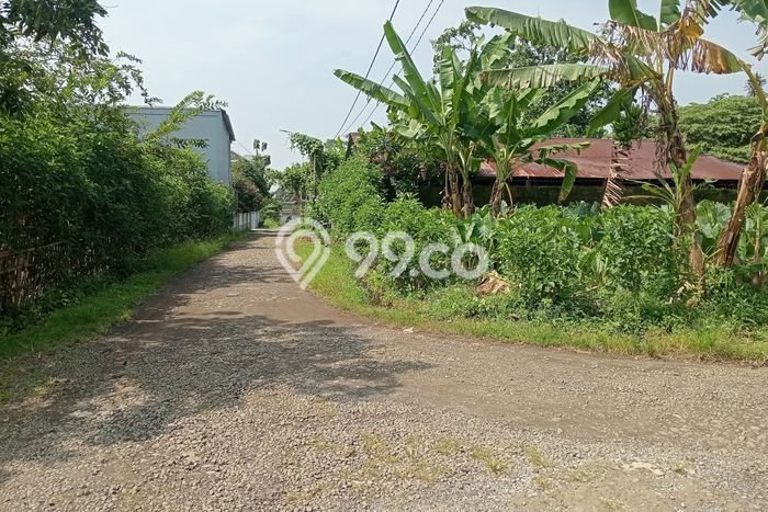 Untuk Dijual Tanah di Banyumas, Luas 350m2 SHM Untuk Dijual Tanah di Banyumas, Luas 350m2 SHM
